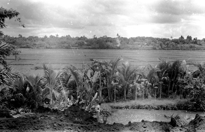 Ceylon